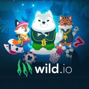 Logo Wild.io Online Casino Logo